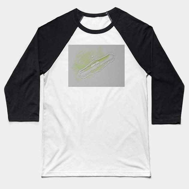 Freshwater diatom, Rhopalodia sp. Baseball T-Shirt by SDym Photography